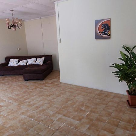 شقة Mi Hogar Julianadorp المظهر الخارجي الصورة