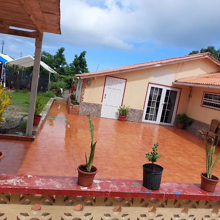 شقة Mi Hogar Julianadorp المظهر الخارجي الصورة