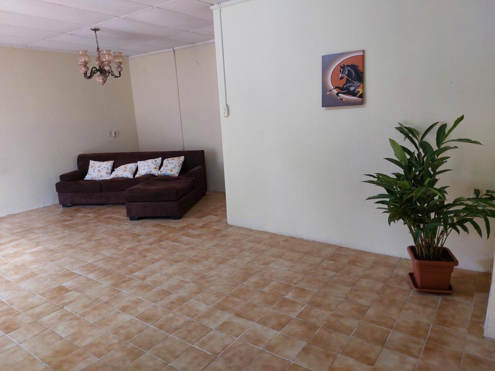 شقة Mi Hogar Julianadorp المظهر الخارجي الصورة