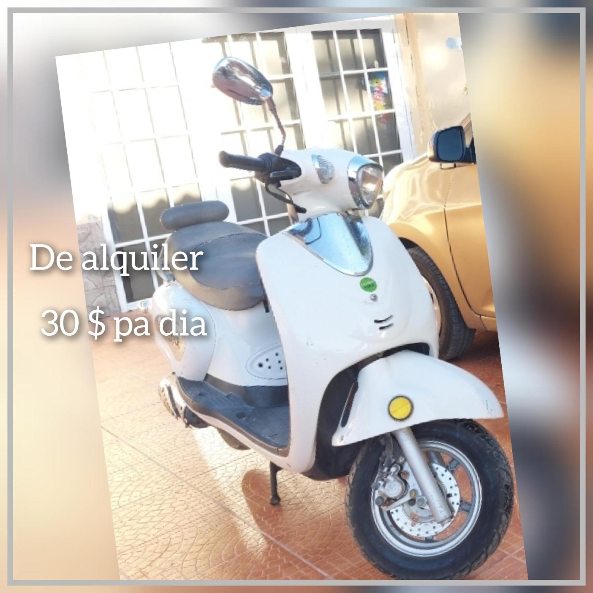 شقة Mi Hogar Julianadorp المظهر الخارجي الصورة